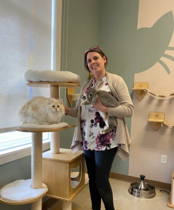 A vet standing with a cat and a bunny