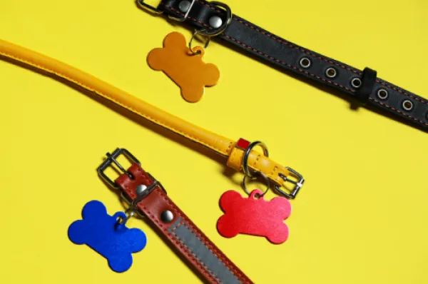 3 pet collars with blank tags on a yellow background.