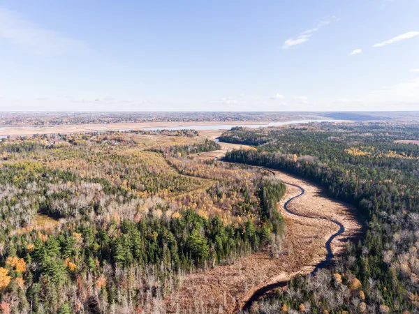 Undeveloped area aerial view