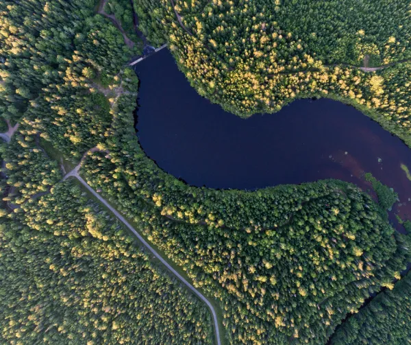 Aerial view of Mill Creek forest and resevoir