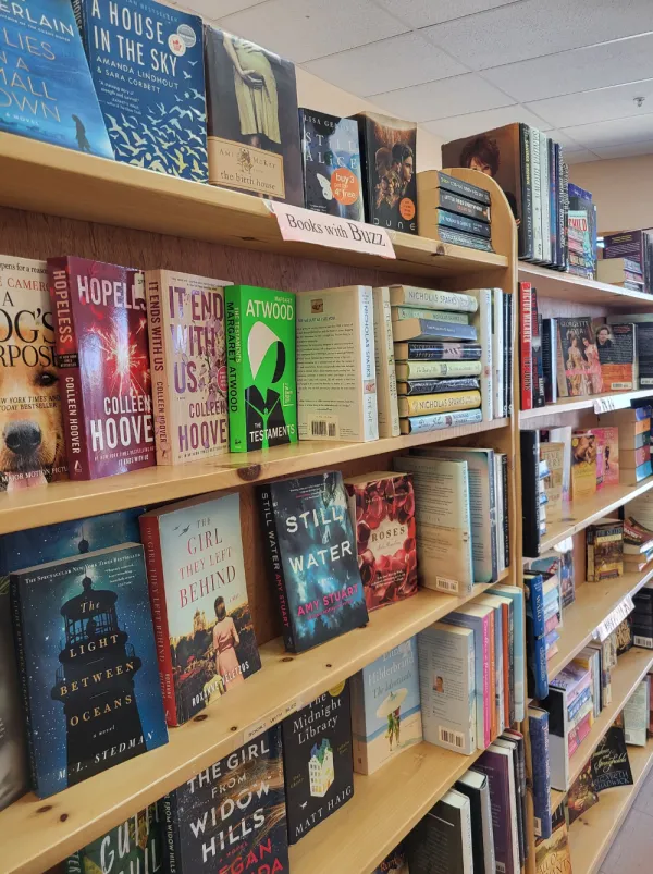 Bookshelves with books inside the shop