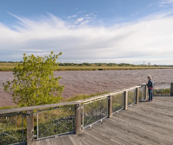 A boardwalk overlooking the petitcodiac river on a sunny day