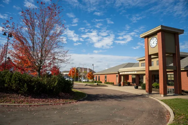 The outside of a municipal brick building with a clock tower with autumn colours