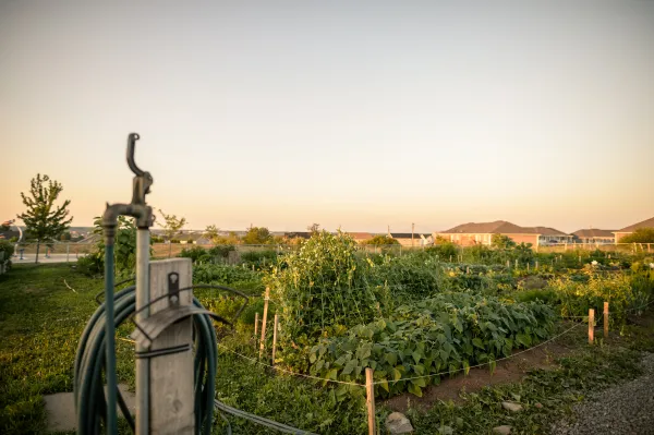 View of the Coverdale Community Garden at sunset, with garden beds in the foreground and a watering hose hanging from a wooden post.