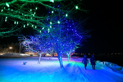 A blue tree lit along the Riverfront