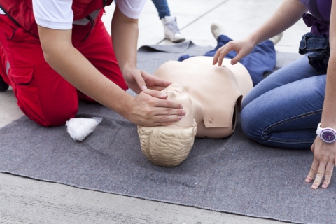 Adults performing CPR on a dummy