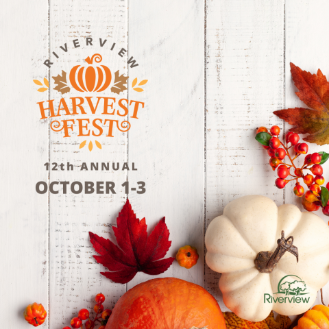 Graphic showing pumpkins and red leaves on a white background. Riverview Harvest Fest logo above text that reads "It's here! October 1-3"