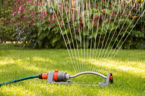 A sprinkler sprays water on a lawn