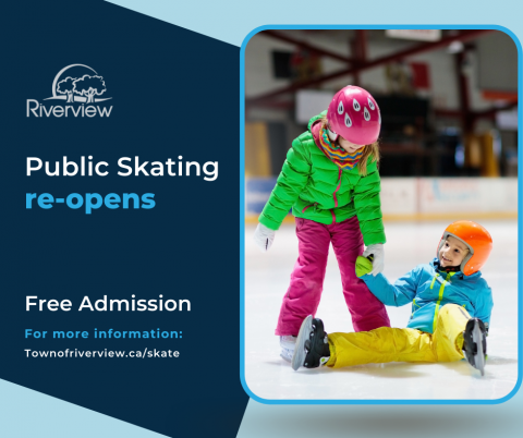 Graphic showing two kids in brightly coloured clothing skating on ice surface.