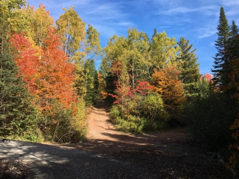 Walking trail in Mill Creek Nature Park during the fall season