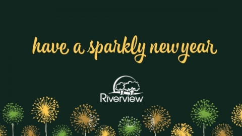 Have a sparkly new year