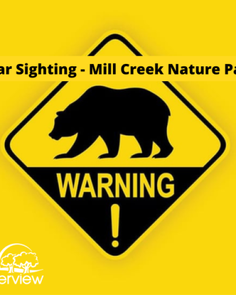 Bear sighting warning image