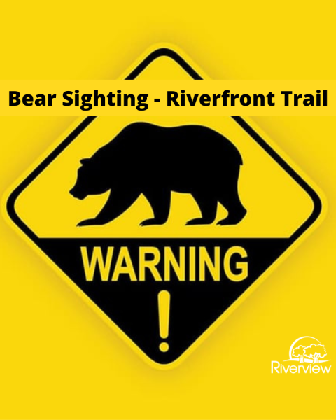 Bear Sighting warning sign
