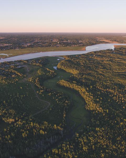 Aerial view of winding river surrounded by trees