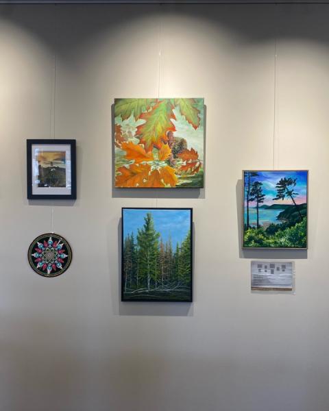 gallery of paintings on wall