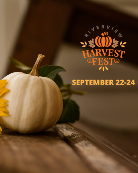 A white pumpkin and fall coloured flowers