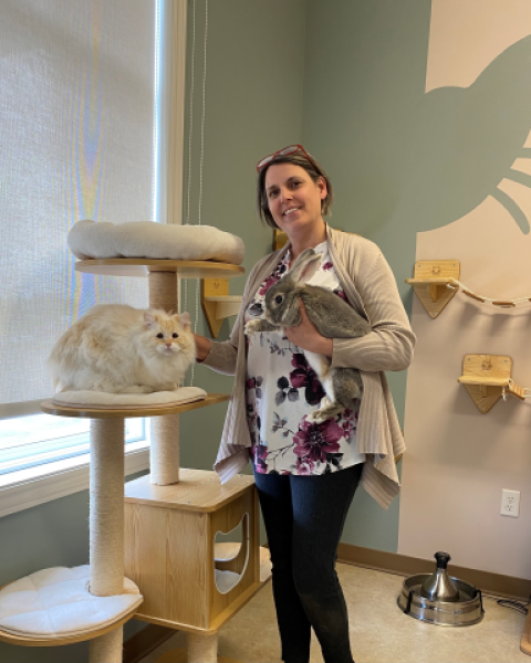 A vet standing with a cat and a bunny