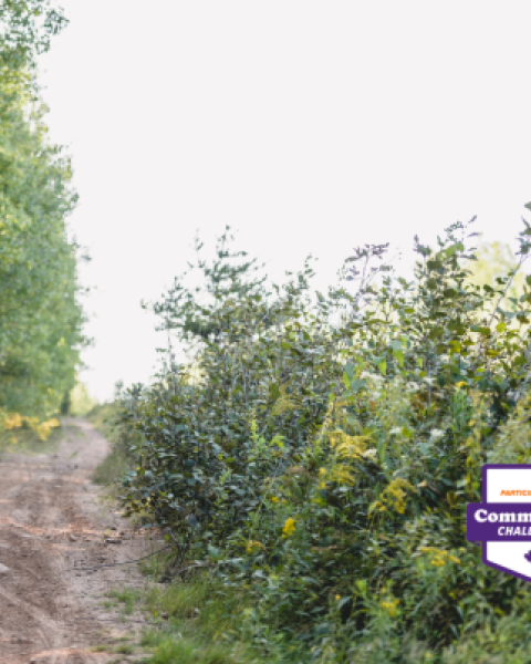 Mountain biker on a dirt trail surrouned by bushes and trees