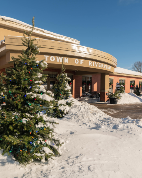 A tree with lights outside of a snowy town hall 