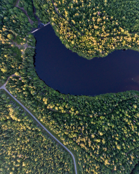 Aerial view of Mill Creek forest and resevoir