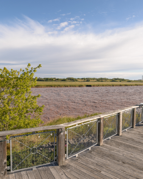 A boardwalk overlooking the petitcodiac river on a sunny day
