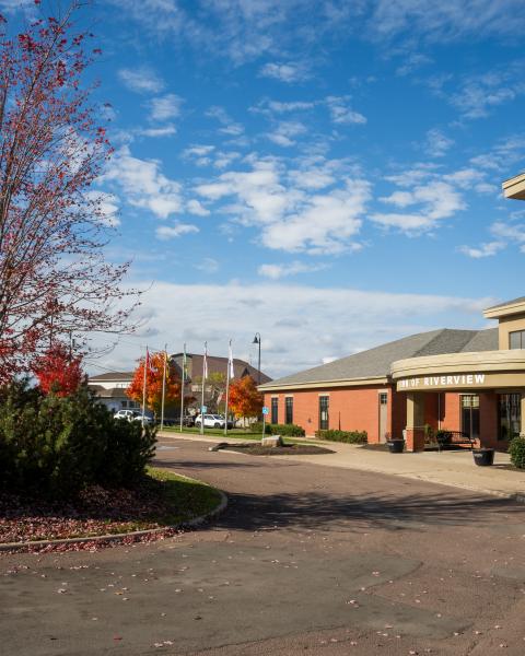 The outside of a municipal brick building with a clock tower with autumn colours