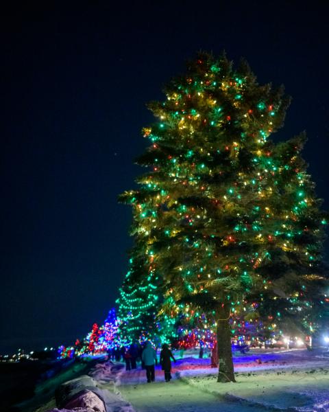 Family walking the riverfront trail under the holiday lights