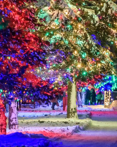 Family walking along the Riverview waterfront, which is decorated with festive holiday lights.