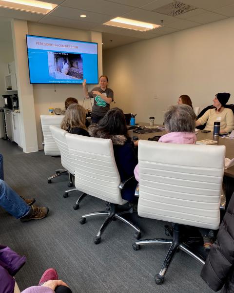 Bird Watching Workshop