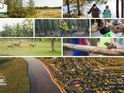 Collage of cheerful photos taken in Riverview with emphasis on green landscapes and clothing