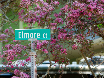 Street sign says Elmore Court in front of pink blooming cherry blossom tree