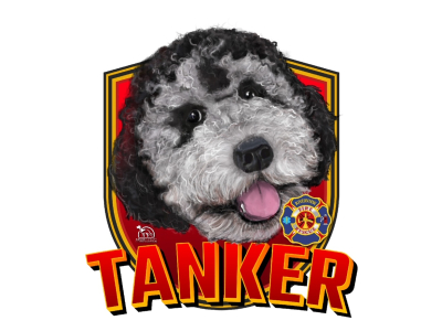 Tanker doodle dog photo in front of badge